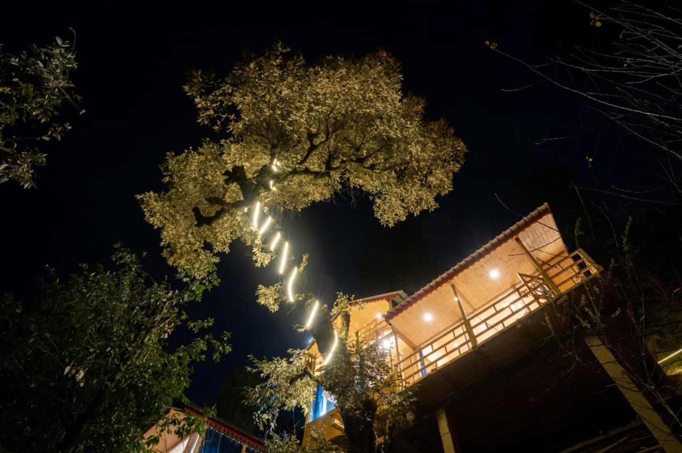 Вілла Into The Woods Treehouse Jibhi Екстер'єр фото